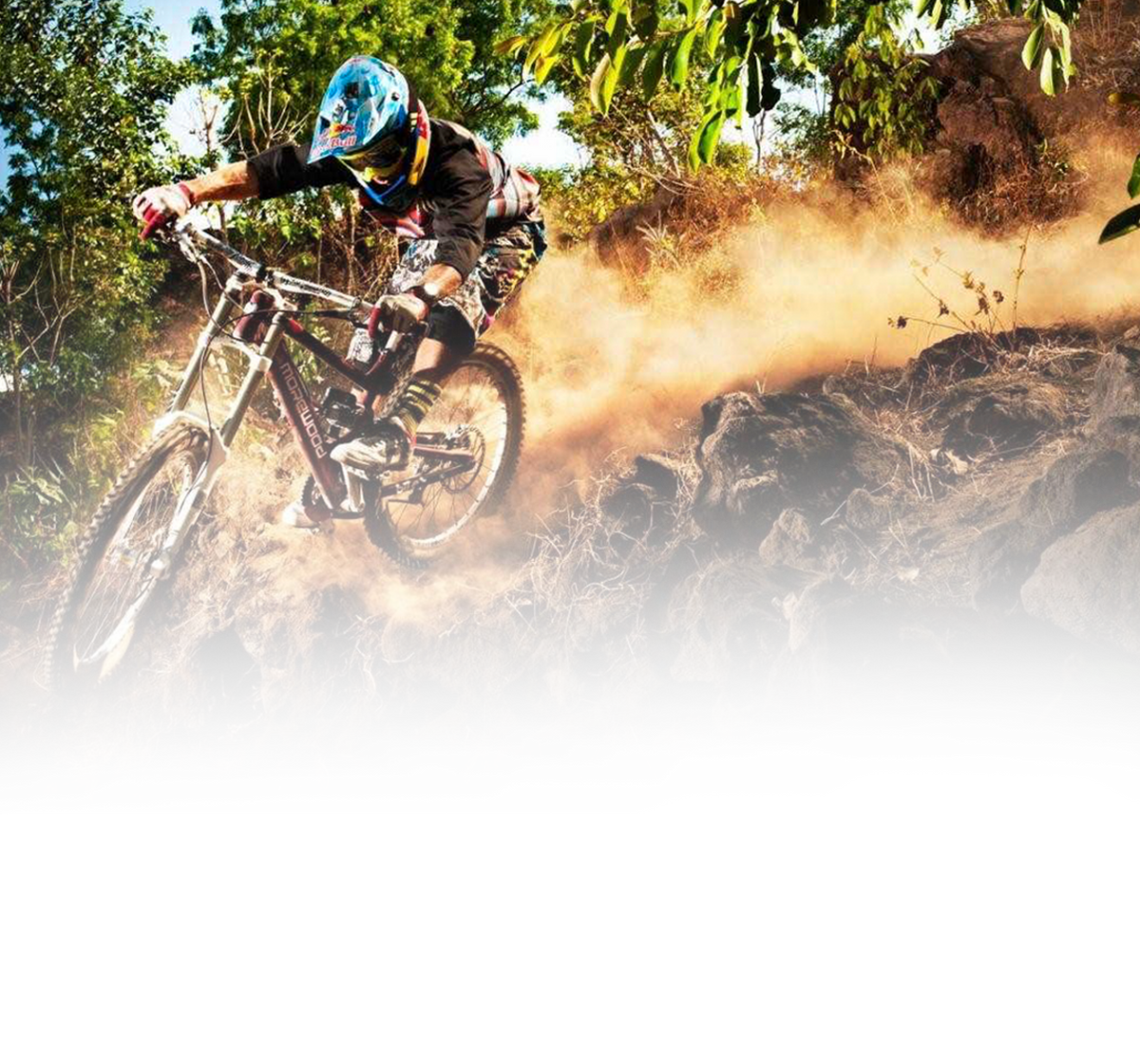 Aim Cycle Products